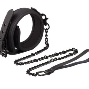 Collar con Correa
